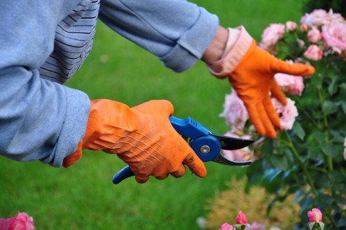 Local garden design and build project planning in Kingston upon Thames