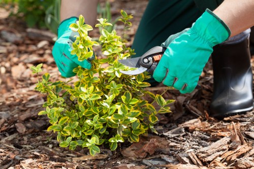 Confident secure checkout for Landscaping Kingstonuponthames