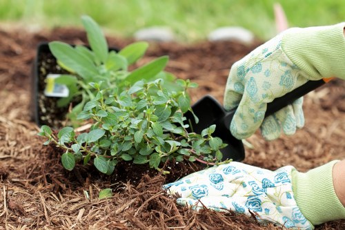 Accessible landscaping Kingston upon Thames website on a device with screen-reader support