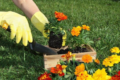 Recycling and waste separation supporting sustainable landscaping in the borough