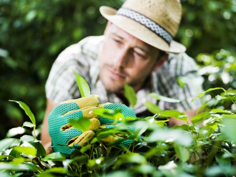 PCI compliant online payment security for landscaping