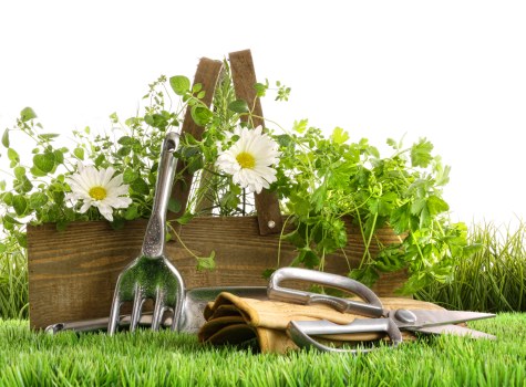 Commercial and residential soft landscaping improvements in Kingston upon Thames