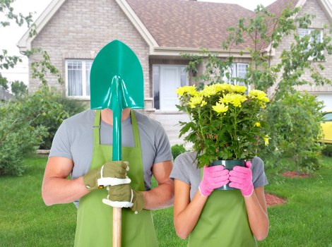 Annual policy review for ethical landscaping practices